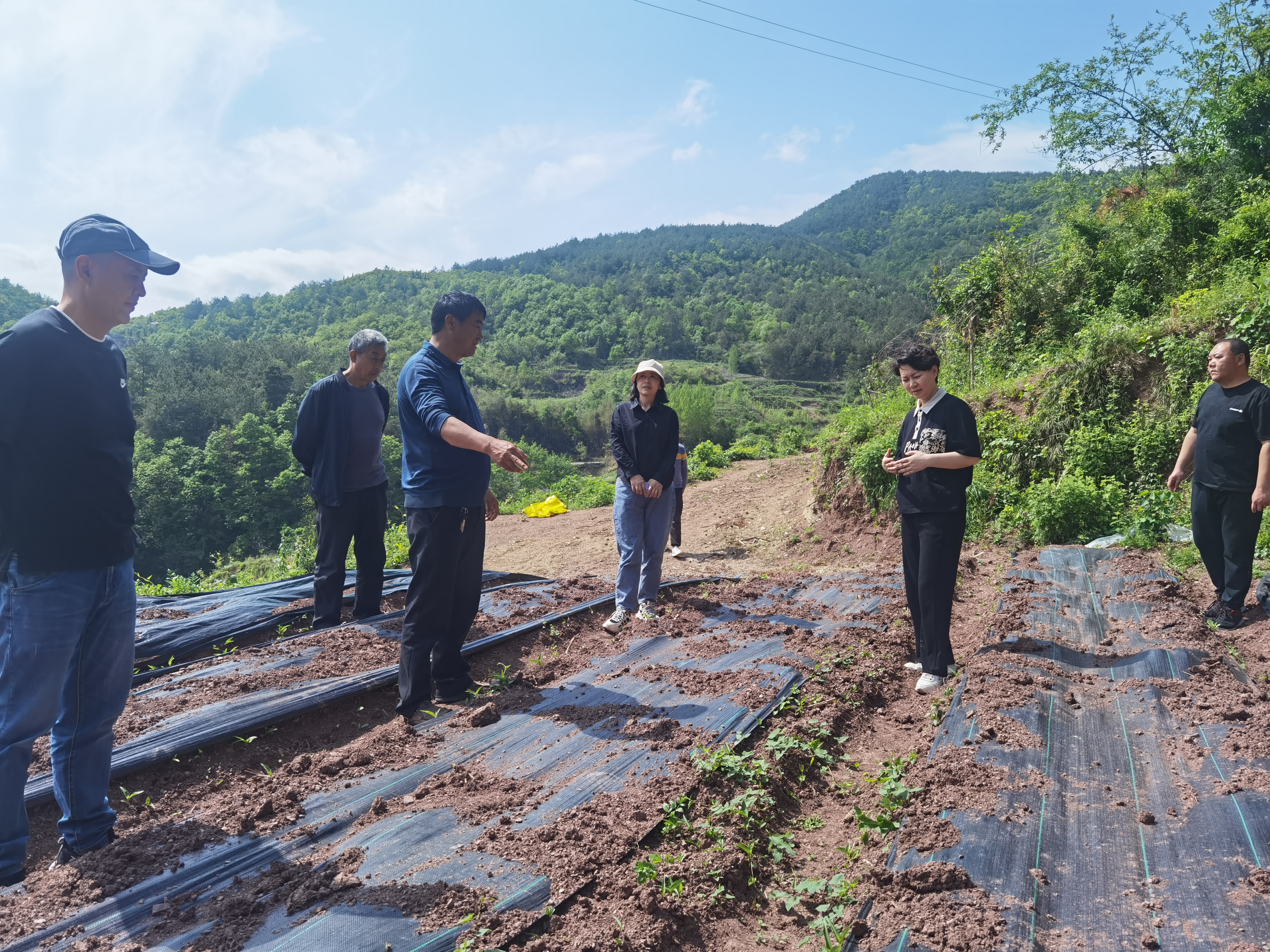 1713436344666399.jpg 1713436344666399.jpg